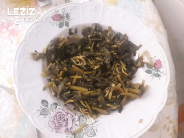 Semizotu Yoğurtlaması