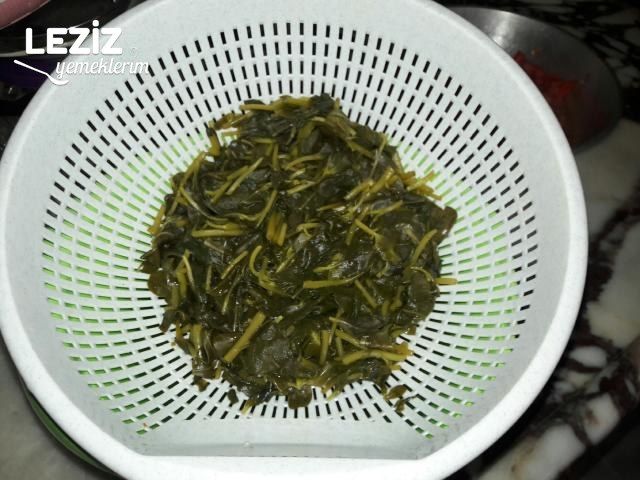 Semizotu Yoğurtlaması