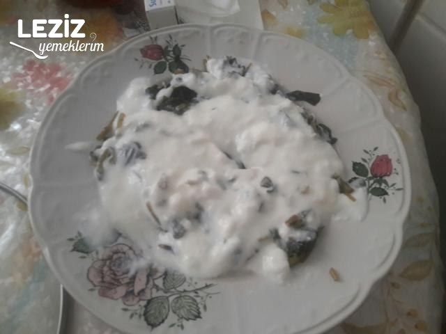 Semizotu Yoğurtlaması