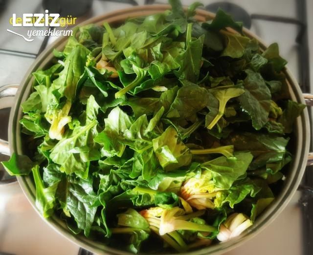 Ispanak Oturtma Tarifi