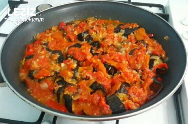 Etsiz Patlıcan Oturtma