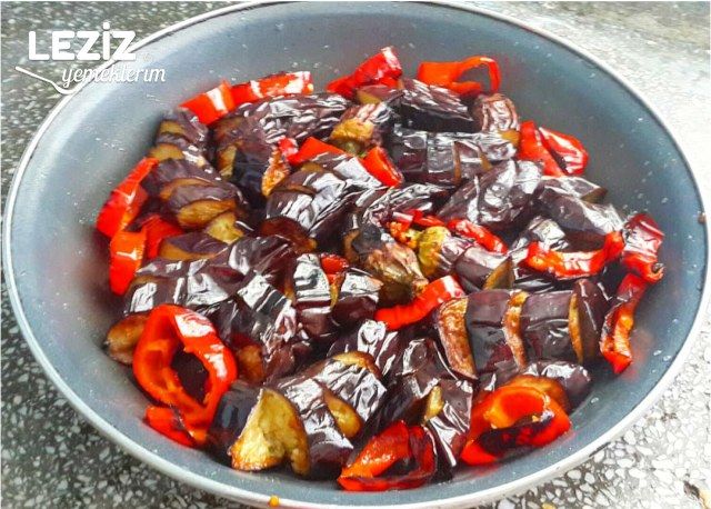 Etsiz Patlıcan Oturtma