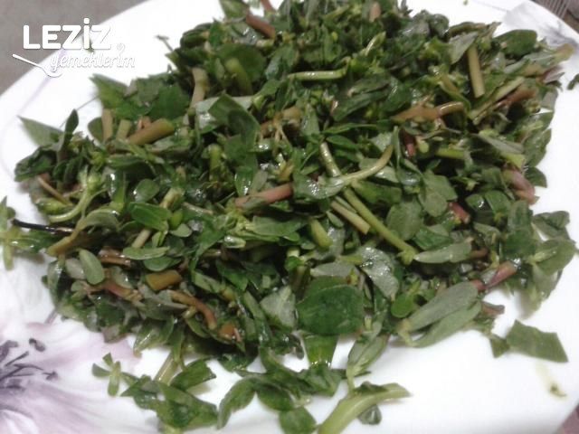 Semizotu Salatası Tarifi (Yoğurtsuz)