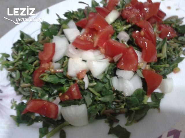 Semizotu Salatası Tarifi (Yoğurtsuz)