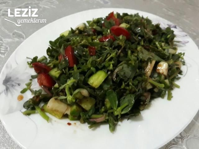 Semizotu Salatası Tarifi (Yoğurtsuz)
