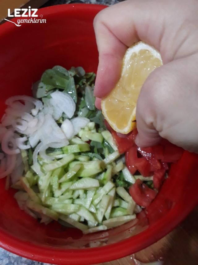 Semizotlu Renkli Salata