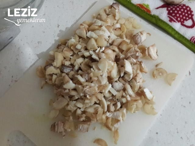 Kiremitte Mantar Kökü Sotesi