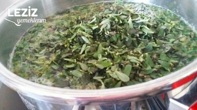 Ekşili Semizotu Çorbası