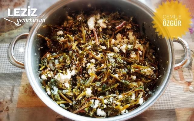 Semiz Otlu Çarşaf Böreği