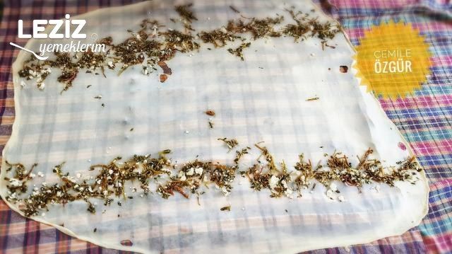 Semiz Otlu Çarşaf Böreği