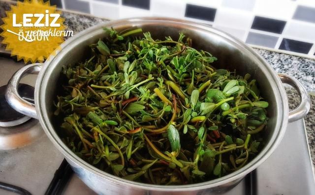 Semiz Otlu Çarşaf Böreği