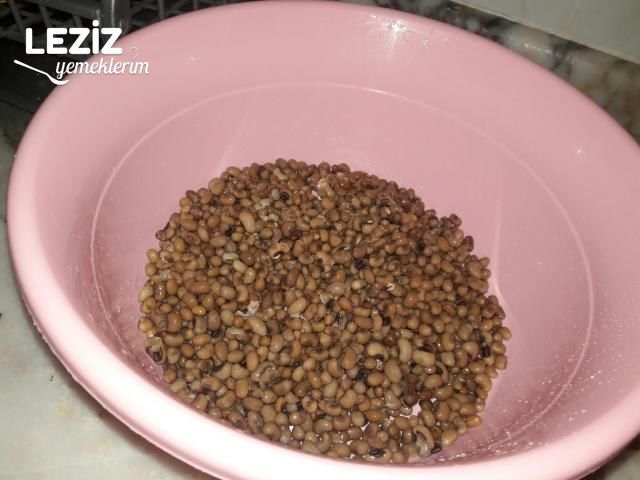 Soya Fasulyesi Salatası