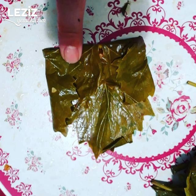 Zeytinyağlı Yaprak Sarması (Fotoğraflı Anlatım)