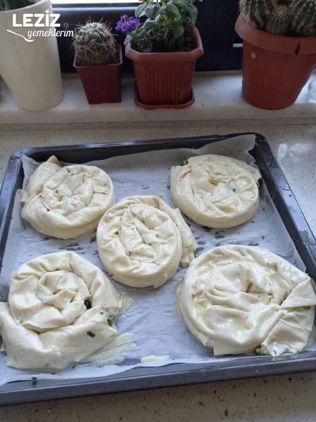 Çıtır Çıtır Otlu Sarma Börek