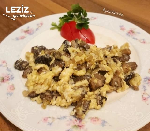 Yumurtalı Kuzu Göbeği Mantarı