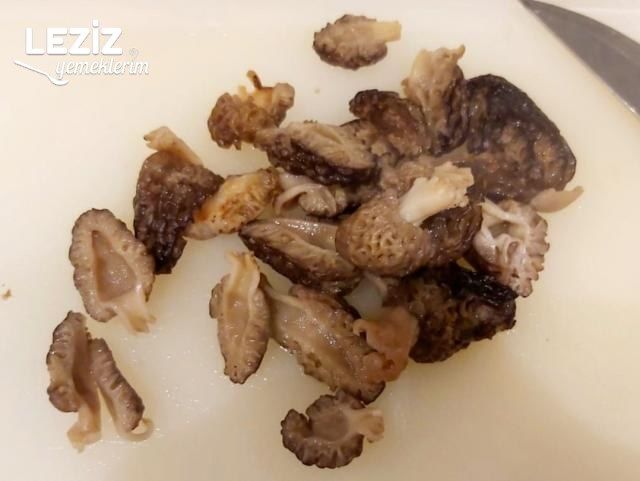 Yumurtalı Kuzu Göbeği Mantarı