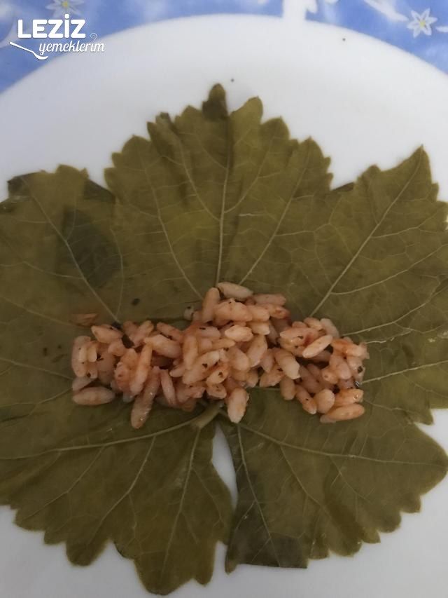 Yaprak Sarması (Kıymasız)