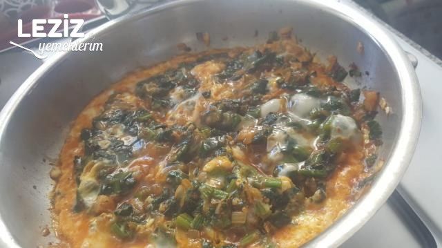 Ispanaklı Yumurta Tarifi