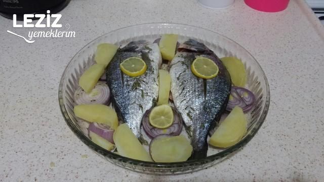 Fırında Nefis Çipura Tarifi