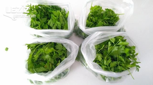 Buzlukta Maydonoz Saklama