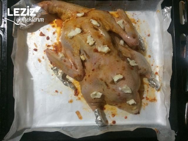 Portakallı Pekin Ördeği