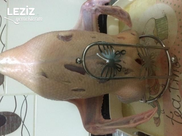 Portakallı Pekin Ördeği