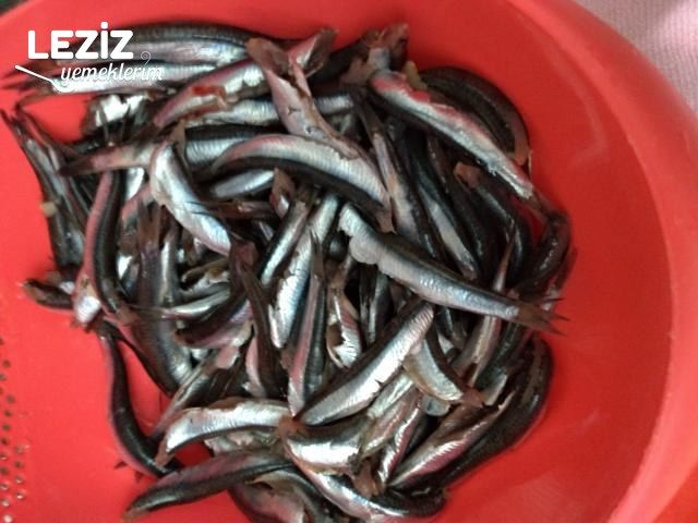 Fırında Hamsi Buğulama