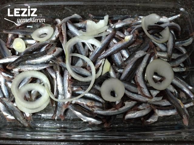 Fırında Hamsi Buğulama