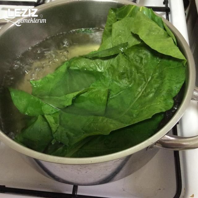 Zeytinyağlı Pazı Sarması