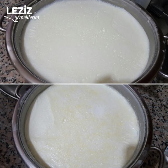 Kaymaklı Yoğurt Mayalama (Tam Ölçü) Aşama Aşama
