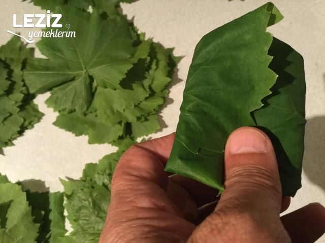 Taze Yaprak Saklama (Kuru Ve Tuzsuz Olarak Kavanozda)
