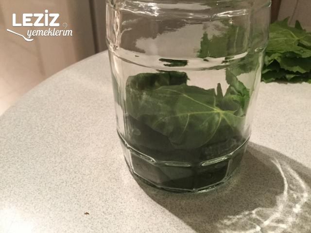 Taze Yaprak Saklama (Kuru Ve Tuzsuz Olarak Kavanozda)