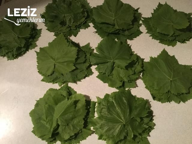 Taze Yaprak Saklama (Kuru Ve Tuzsuz Olarak Kavanozda)