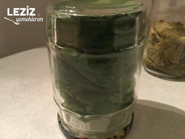 Taze Yaprak Saklama (Kuru Ve Tuzsuz Olarak Kavanozda)