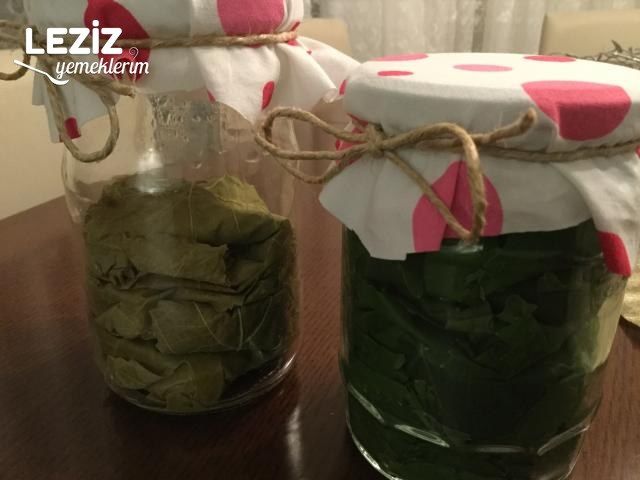 Taze Yaprak Saklama (Kuru Ve Tuzsuz Olarak Kavanozda)