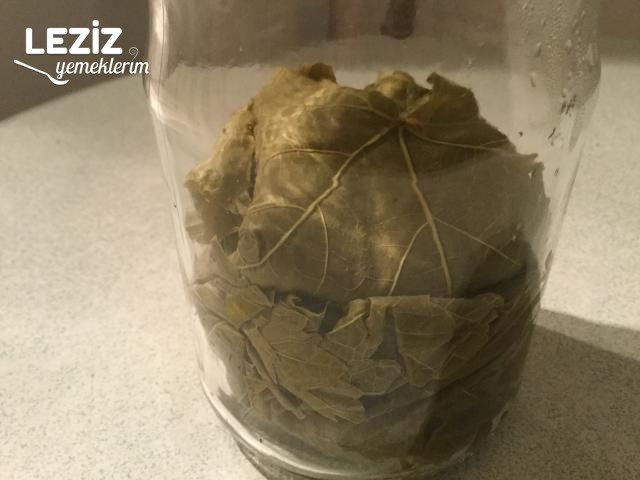 Taze Yaprak Saklama (Kuru Ve Tuzsuz Olarak Kavanozda)