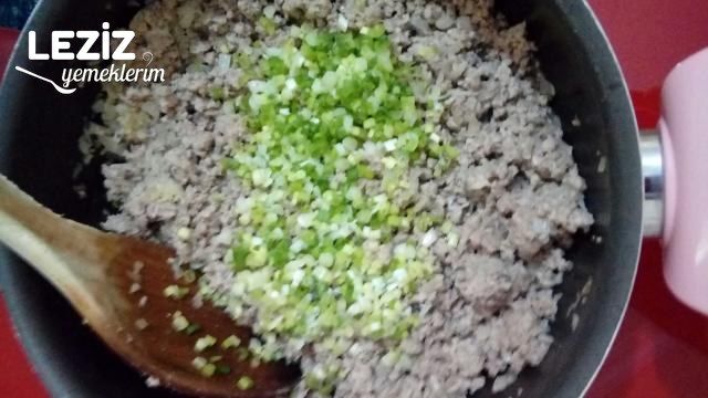 Hakiki Kadınbudu Köfte