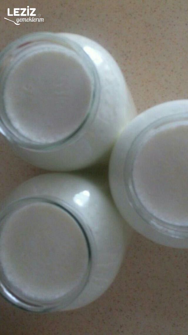Evde Yoğurt Mayalama
