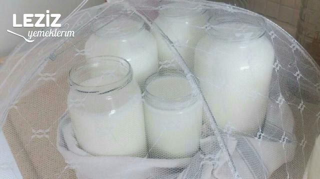 Evde Yoğurt Mayalama