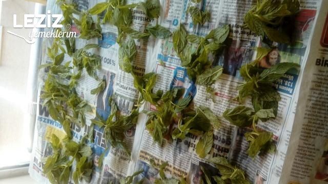 Evde Çok Kolay Nane Kurutma, Evde Nane Nasıl Kurutulur