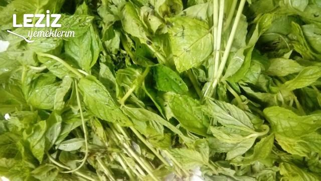 Evde Çok Kolay Nane Kurutma, Evde Nane Nasıl Kurutulur