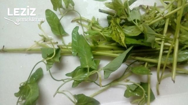 Evde Çok Kolay Nane Kurutma, Evde Nane Nasıl Kurutulur