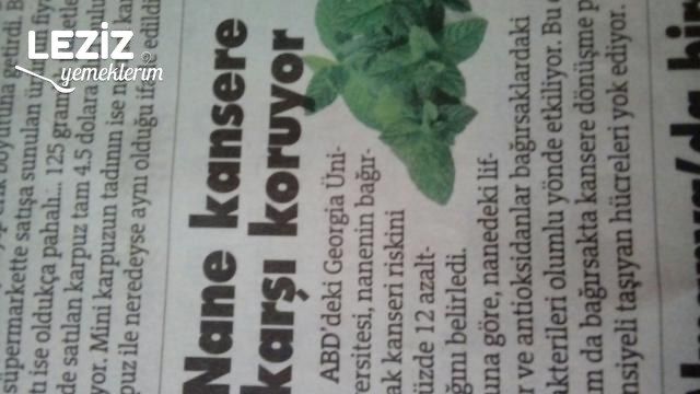 Evde Çok Kolay Nane Kurutma, Evde Nane Nasıl Kurutulur