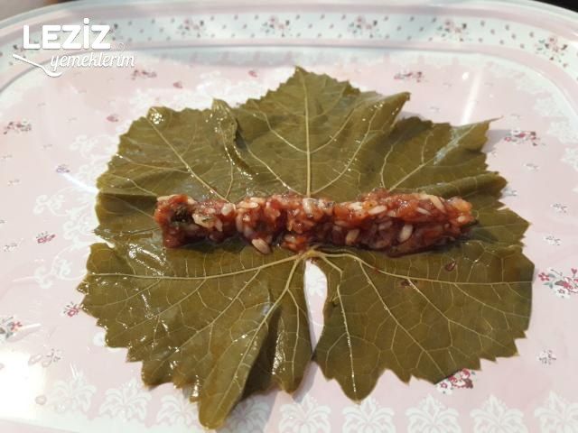 Zeytinyağlı Sarma (Resimli)