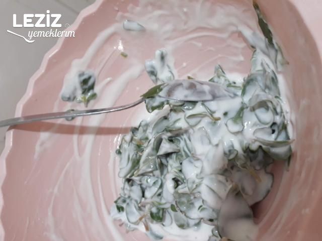 Yoğurtlu Semizotu Salatasının Tarifi