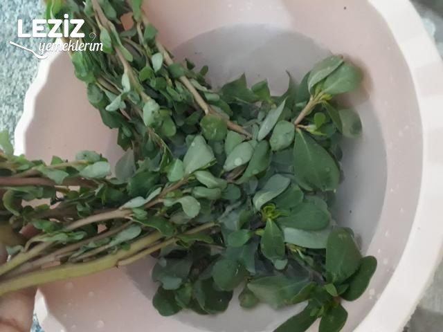 Yoğurtlu Semizotu Salatasının Tarifi