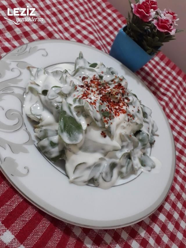 Yoğurtlu Semizotu Salatasının Tarifi