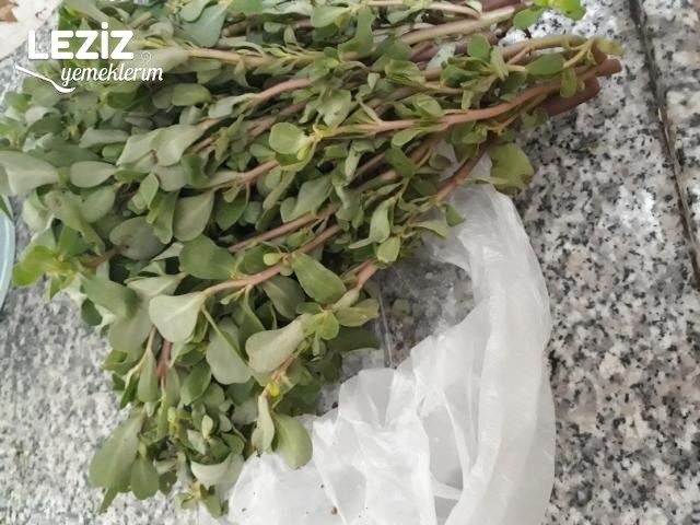 Yoğurtlu Semizotu Salatasının Tarifi