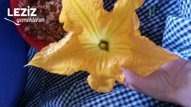 Kabak Çiçeği Dolması  (Bulgurlu)