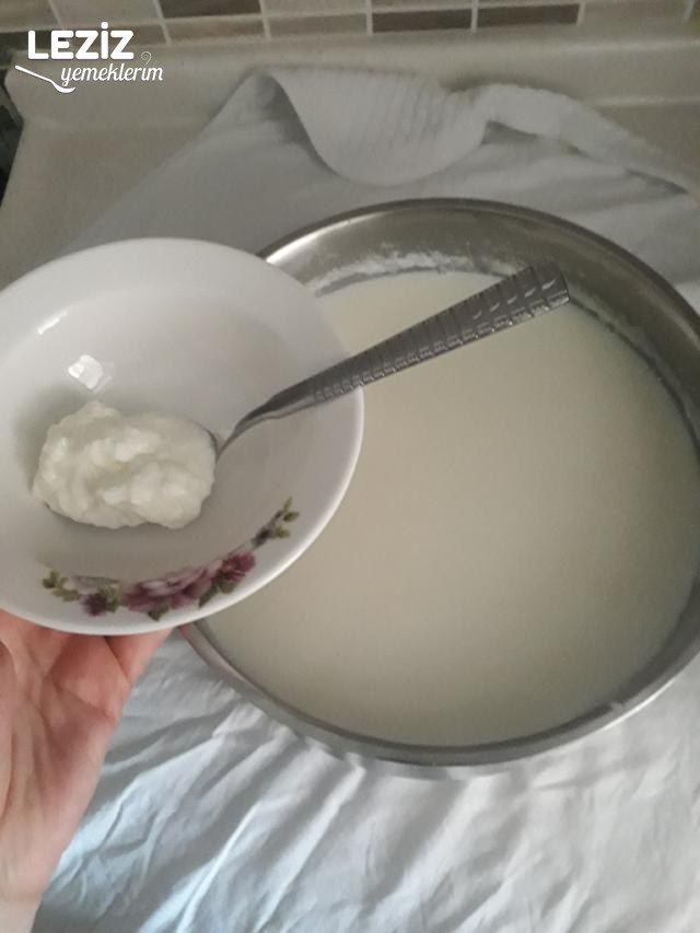 Evde Yoğurt Mayalamak